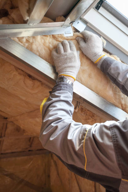 Insulation Repair Services in Watertown, MN